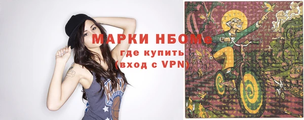 дмт Богданович